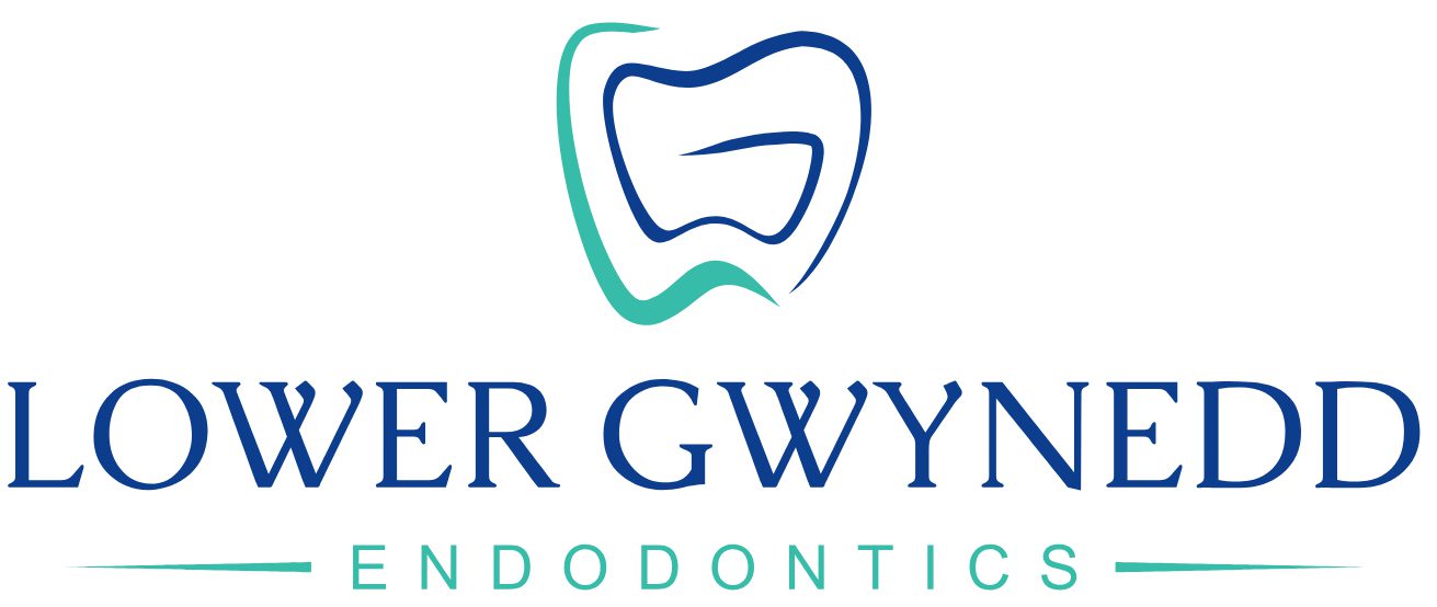 Endodontist Lower Gwynedd